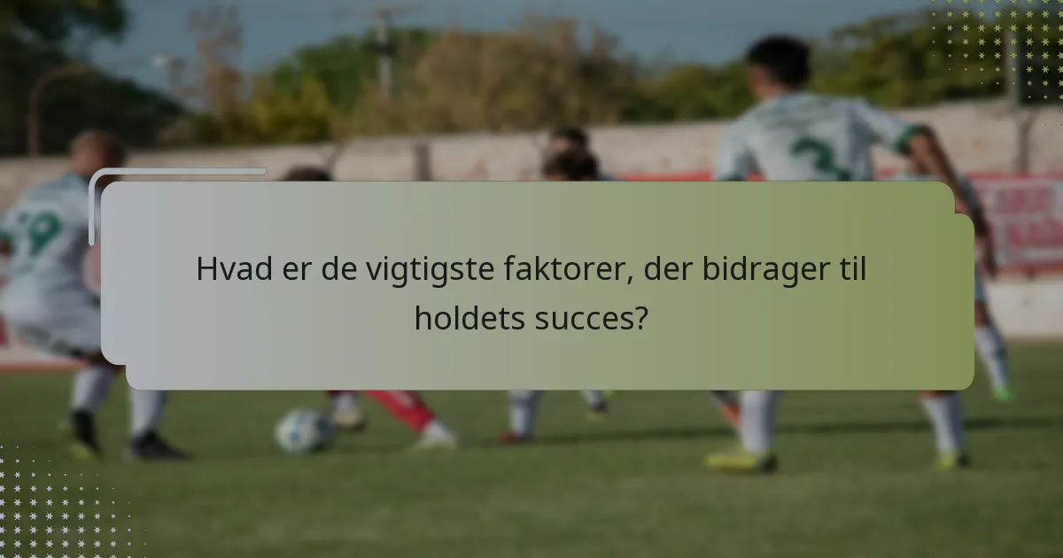 Hvad er de vigtigste faktorer, der bidrager til holdets succes?