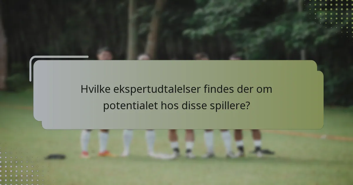 Hvilke ekspertudtalelser findes der om potentialet hos disse spillere?