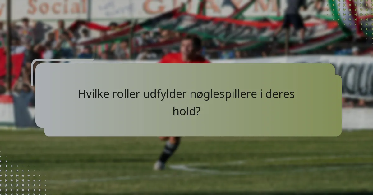 Hvilke roller udfylder nøglespillere i deres hold?